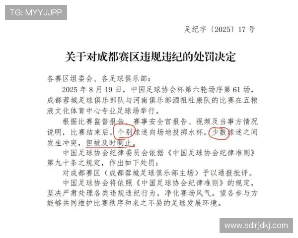 河南赛区因场内不当TIFO被通报批评并罚款1万元 引发关注 河南赛区因场内不当TIFO被通报批评并罚款1万元 引发关注